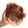 Poliertes verkieseltes Holz aus Madagaskar - 0