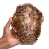 Poliertes versteinertes Holz aus Madagaskar - 0