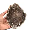 Stück natürliches versteinertes Holz - 0