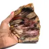 Natürliches versteinertes Holz - 0