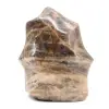Microcline-Steinflamme aus Madagaskar - 0