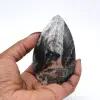 Polierte Orthoceras aus Marokko - 0
