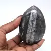Poliertes Orthoceras-Fossil - 0