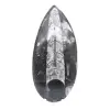 Poliertes Orthoceras-Fossil - 1