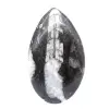 Polierte Orthoceras - 1