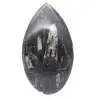 Orthoceras Fossil Marokko - 1