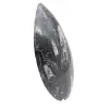 Orthoceras Fossil Marokko - 3