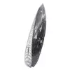 Orthoceras-Fossil aus Marokko - 2