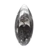 Orthoceras Fossil Marokko - 1