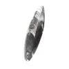 Orthoceras Fossil Marokko - 2