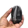 Orthoceras-Fossil aus Marokko - 4