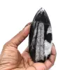 Orthoceras-Fossil - 0