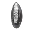 Orthoceras von Marokko - 1