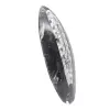 Orthoceras von Marokko - 3