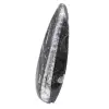 Poliertes Orthoceras-Fossil - 2