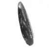 Poliertes Orthoceras-Fossil - 3