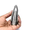 Orthoceras-Fossil aus Marokko - 0