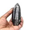 Orthoceras-Fossil aus Marokko - 0