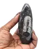 Orthoceras-Fossil aus Marokko - 11