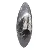Orthoceras-Fossil - 1