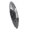 Orthoceras-Fossil - 3