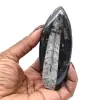 Polierte Orthoceras aus Marokko - 0