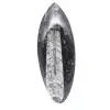 Polierte Orthoceras aus Marokko - 1