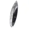 Polierte Orthoceras aus Marokko - 2