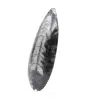 Polierte Orthoceras - 2