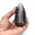 Orthoceras-Fossil aus Marokko — 13