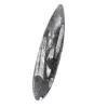 Orthoceras Fossil Marokko - 2