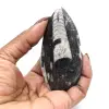 Orthoceras-Fossil aus Marokko - 15