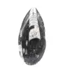 Orthoceras-Fossil aus Marokko - 1