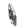 Orthoceras-Fossil aus Marokko - 3