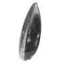 Orthoceras-Fossil aus Marokko - 2
