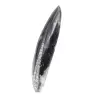 Orthoceras Fossil Marokko - 2
