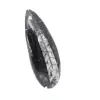 Orthoceras-Fossil - 3