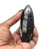 Orthoceras-Fossil - 0