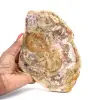 Natürlich poliertes versteinertes Holz - 0