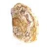 Natürlich poliertes versteinertes Holz - 3