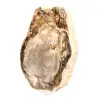 Natürlich poliertes versteinertes Holz - 3