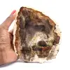 Poliertes versteinertes Holz aus Madagaskar - 0