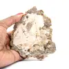 Natürlich poliertes versteinertes Holz - 0