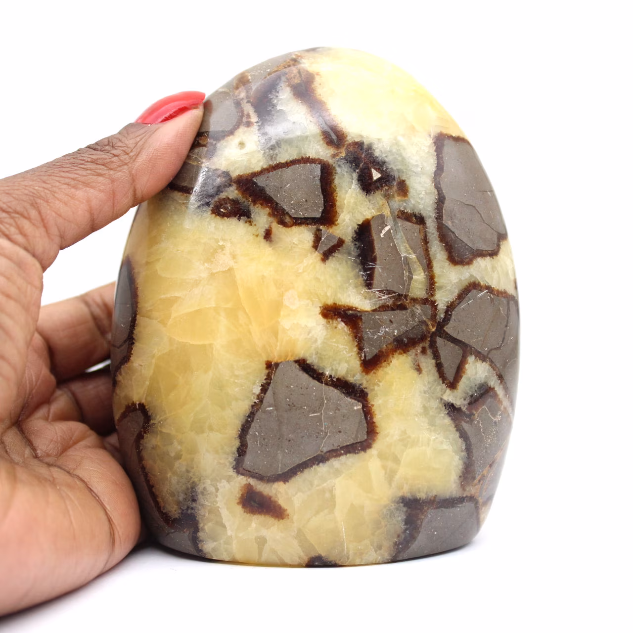 Dekorative Septarien aus Madagaskar