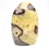 Natürliche Septarien aus Madagaskar - 1