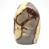 Natürliche Septarien aus Madagaskar - 4