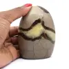 Natürliche Zierseptarien - 0