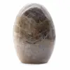 Polierter Freiform-Schwarzer Mondstein - 0