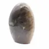 Polierter Freiform-Schwarzer Mondstein - 4