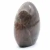 Polierter Freiform-Schwarzer Mondstein - 2
